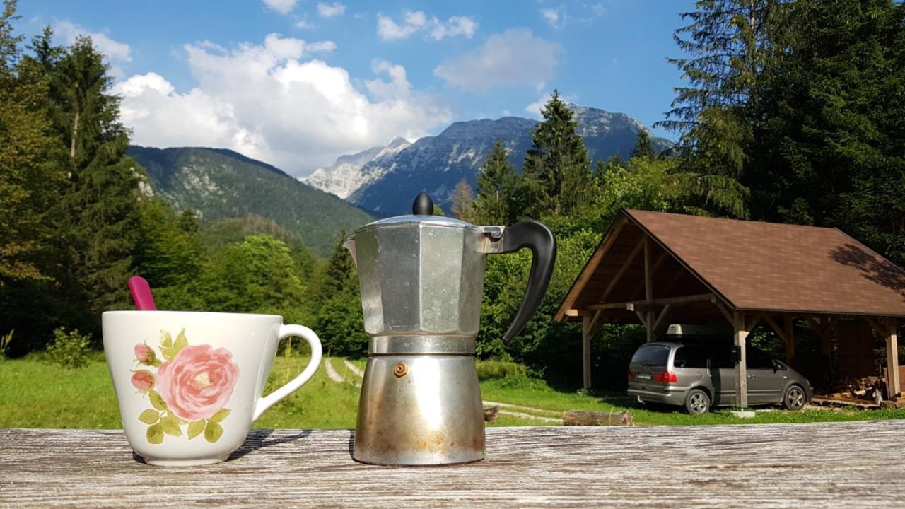 Bovec Home At Three Samoyeds Soča Dış mekan fotoğraf