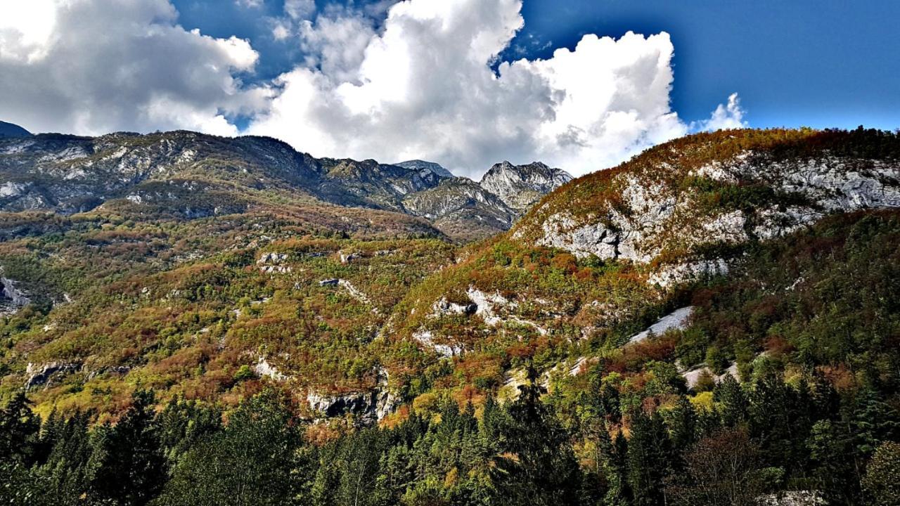 Bovec Home At Three Samoyeds Soča Dış mekan fotoğraf