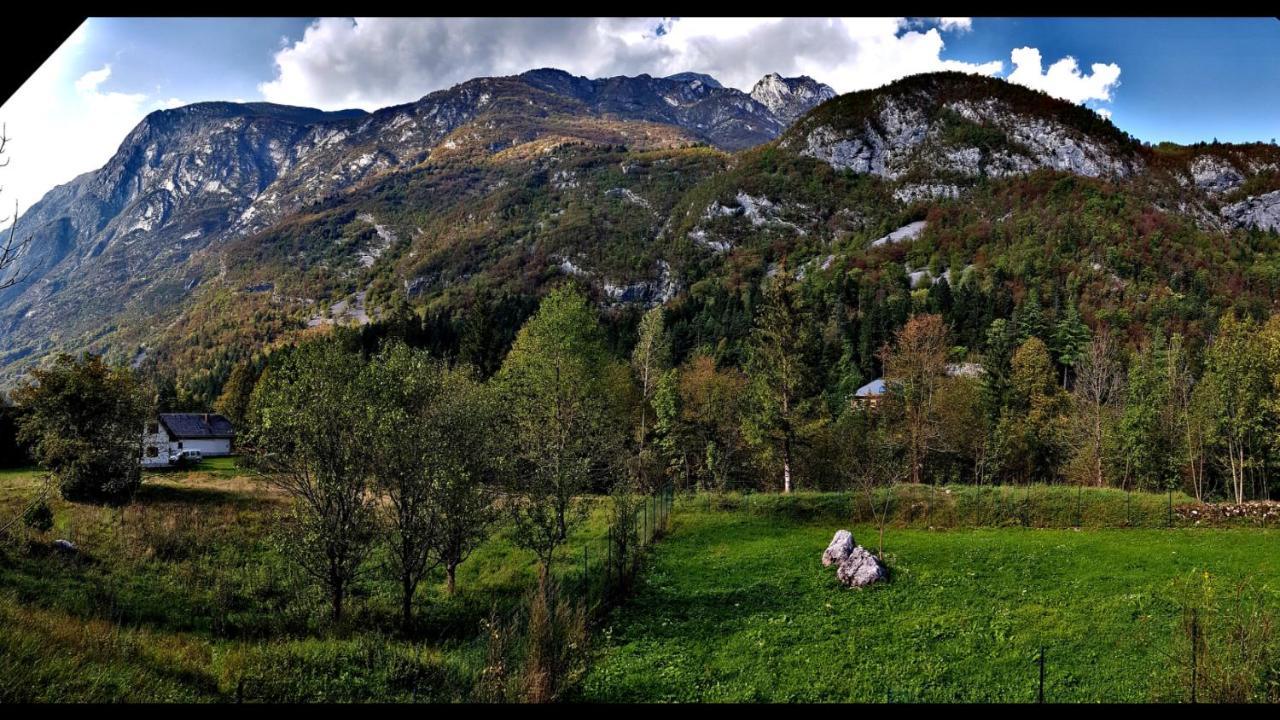 Bovec Home At Three Samoyeds Soča Dış mekan fotoğraf