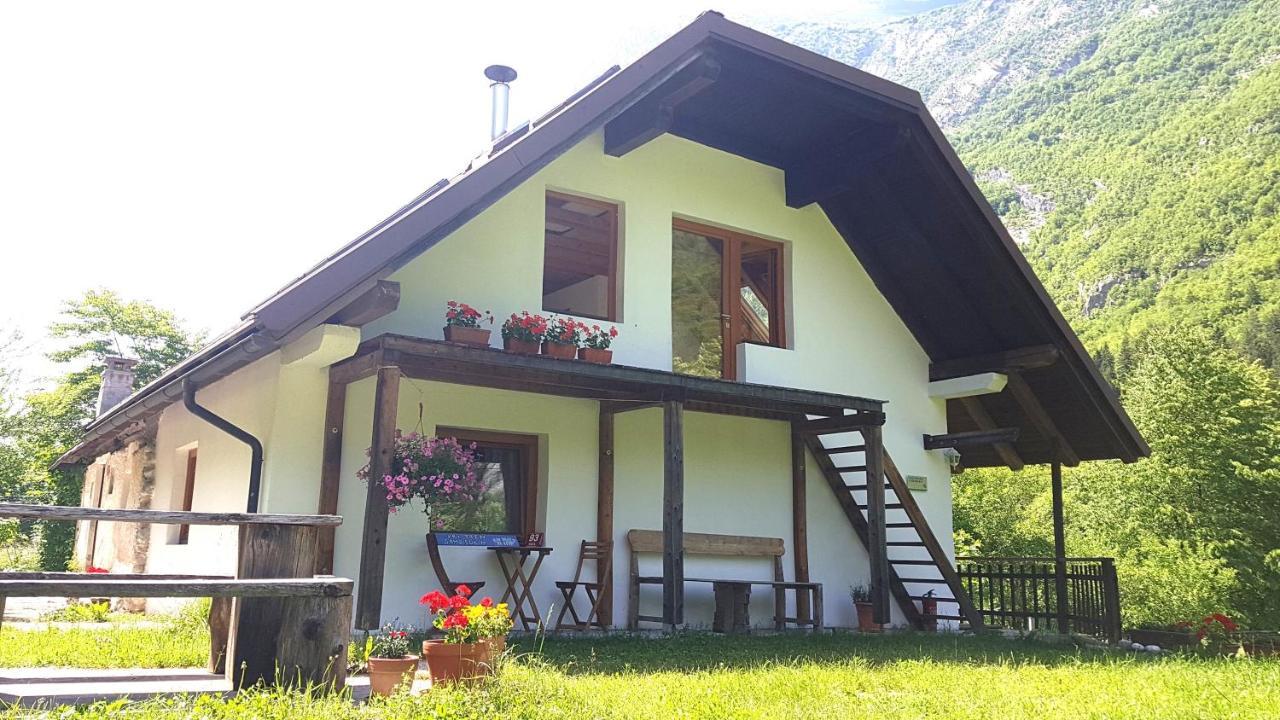 Bovec Home At Three Samoyeds Soča Dış mekan fotoğraf