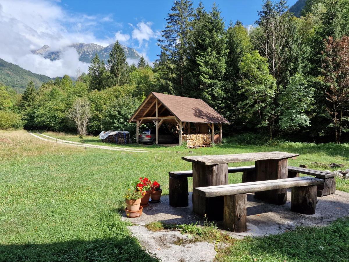 Bovec Home At Three Samoyeds Soča Dış mekan fotoğraf