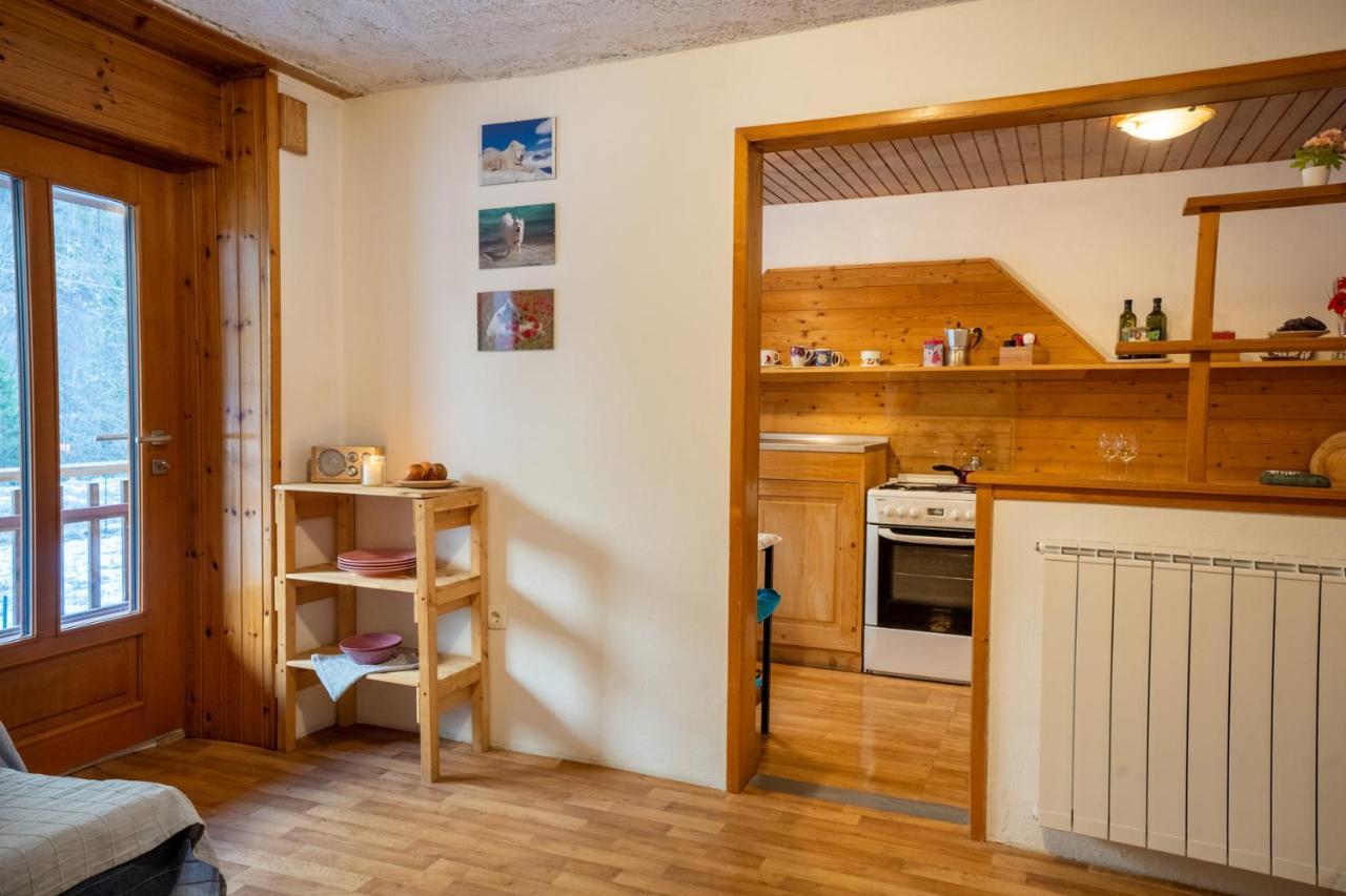 Bovec Home At Three Samoyeds Soča Dış mekan fotoğraf