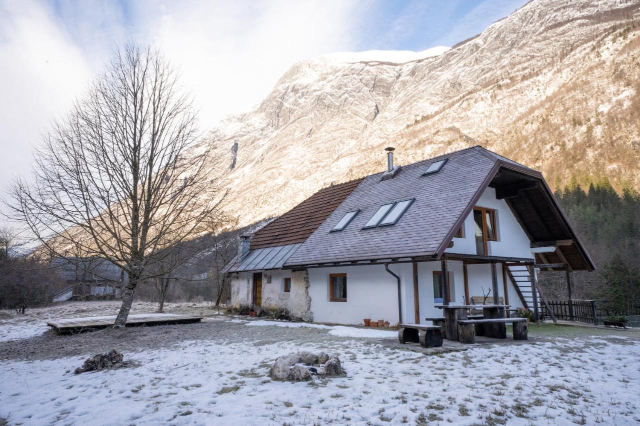 Bovec Home At Three Samoyeds Soča Dış mekan fotoğraf