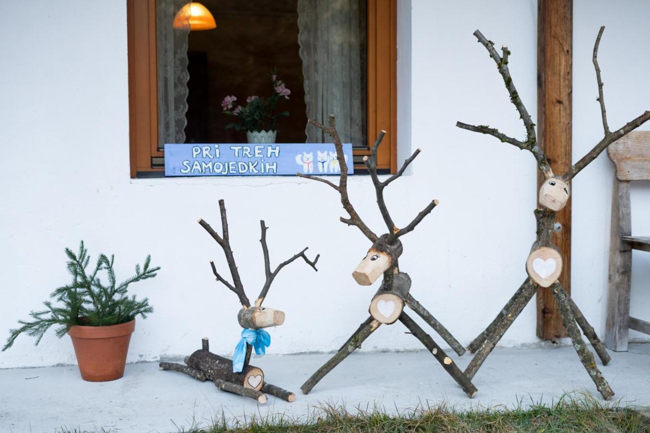 Bovec Home At Three Samoyeds Soča Dış mekan fotoğraf