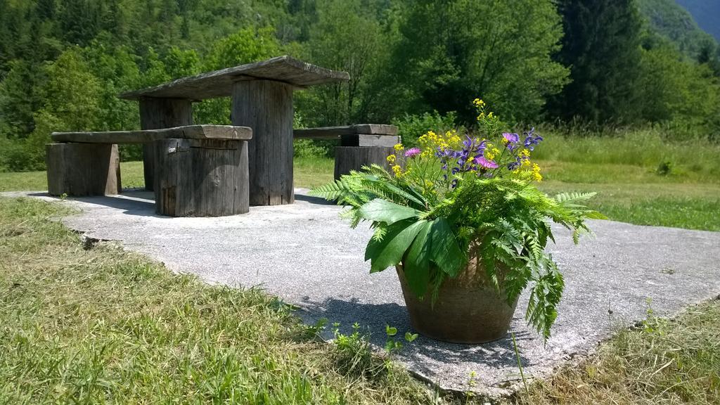 Bovec Home At Three Samoyeds Soča Dış mekan fotoğraf