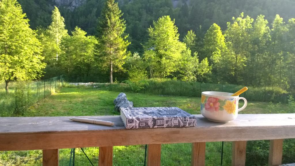 Bovec Home At Three Samoyeds Soča Dış mekan fotoğraf