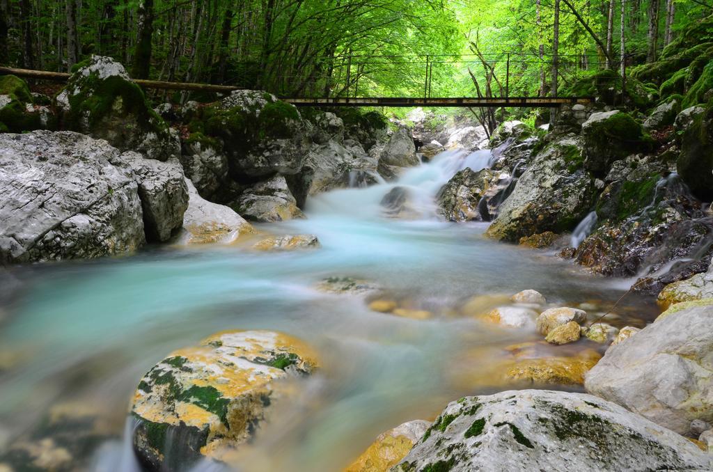 Bovec Home At Three Samoyeds Soča Dış mekan fotoğraf