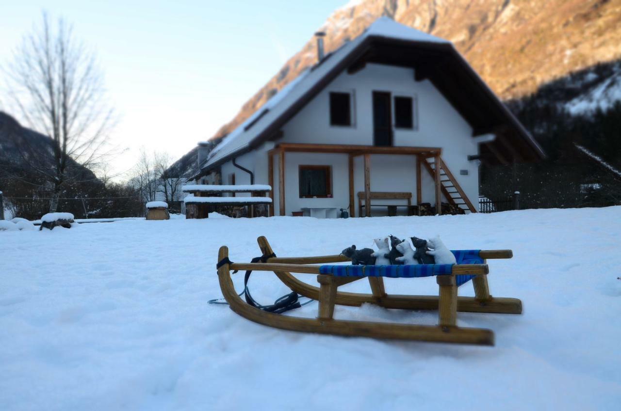 Bovec Home At Three Samoyeds Soča Dış mekan fotoğraf