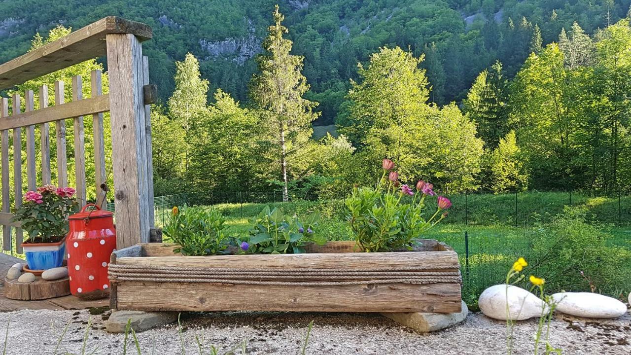 Bovec Home At Three Samoyeds Soča Dış mekan fotoğraf
