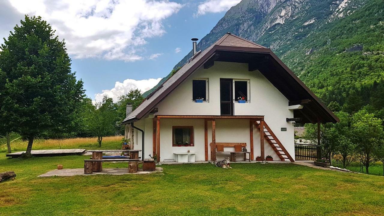 Bovec Home At Three Samoyeds Soča Dış mekan fotoğraf